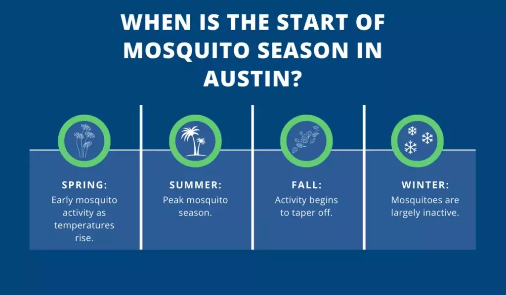 Mosquito Seasons in Austin