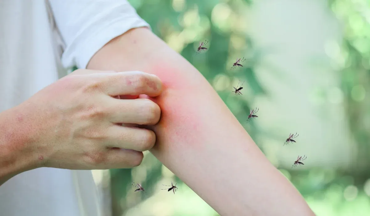 mosquitoes biting