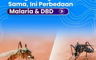 DBD vs. Malaria, Apa Bedanya?