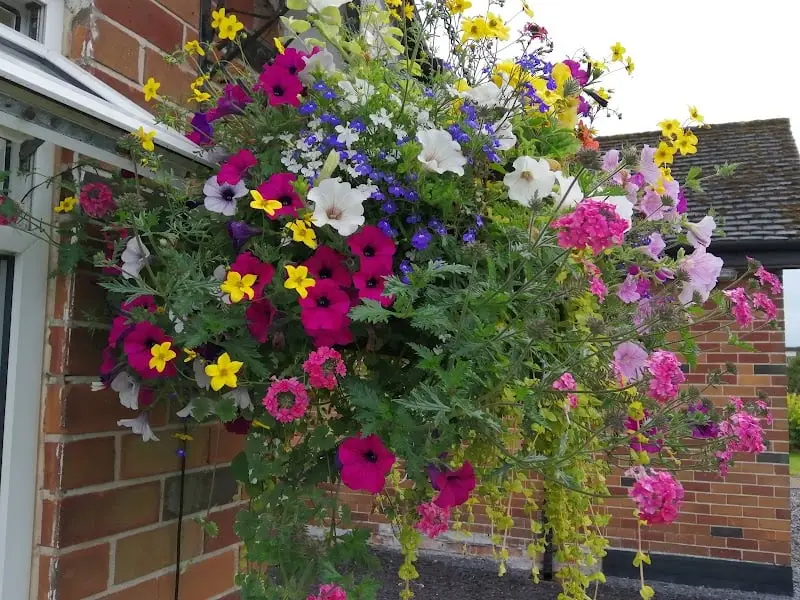 business image 0 125