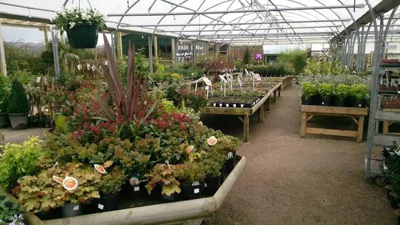 business image 0 144