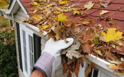 Easy Fall Checklist That Keeps Creepy Problems Away from Your Home