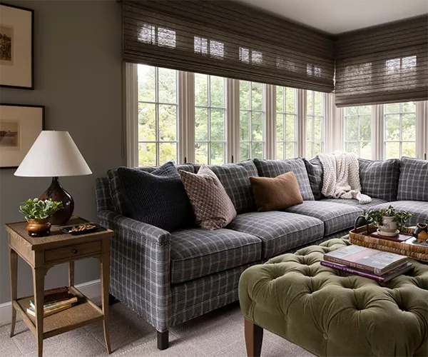 Blue patterned sofa in a cozy living room