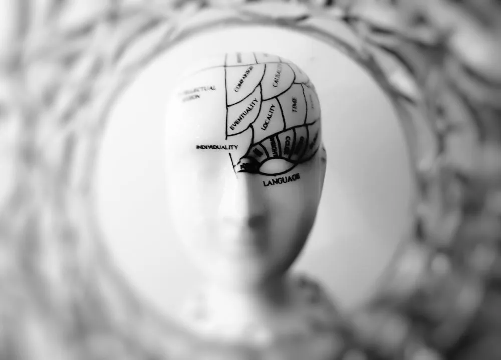 Botox for Chronic Migraines in Plano, TX | Relief Guide 3 Anatomical diagram showing trigeminal nerve pathways involved in chronic migraine pain