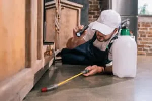 Pest Inspections- Sprint funding