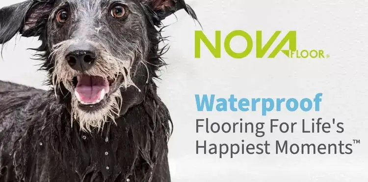 Floor Covering Weekly -Industry Overview & Key Trends Pet friendly waterproof flooring
