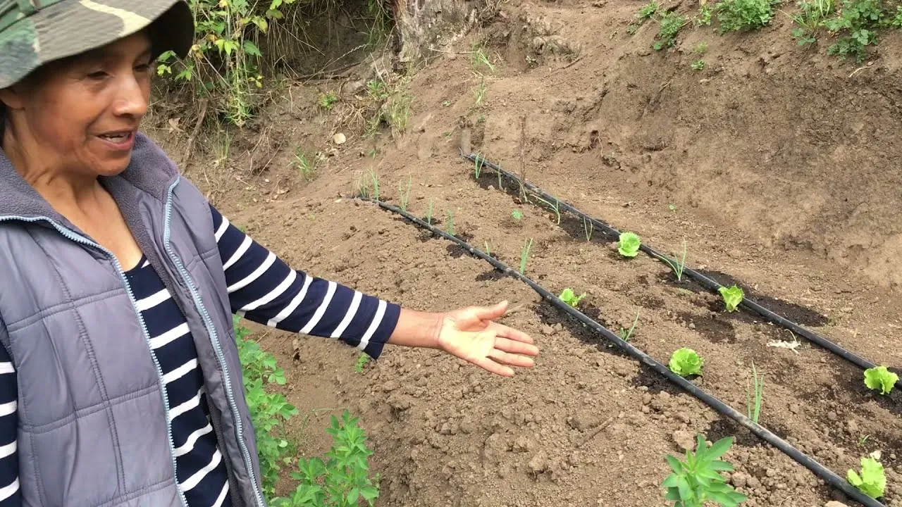 !Viva la AGROECOLOGÍA !