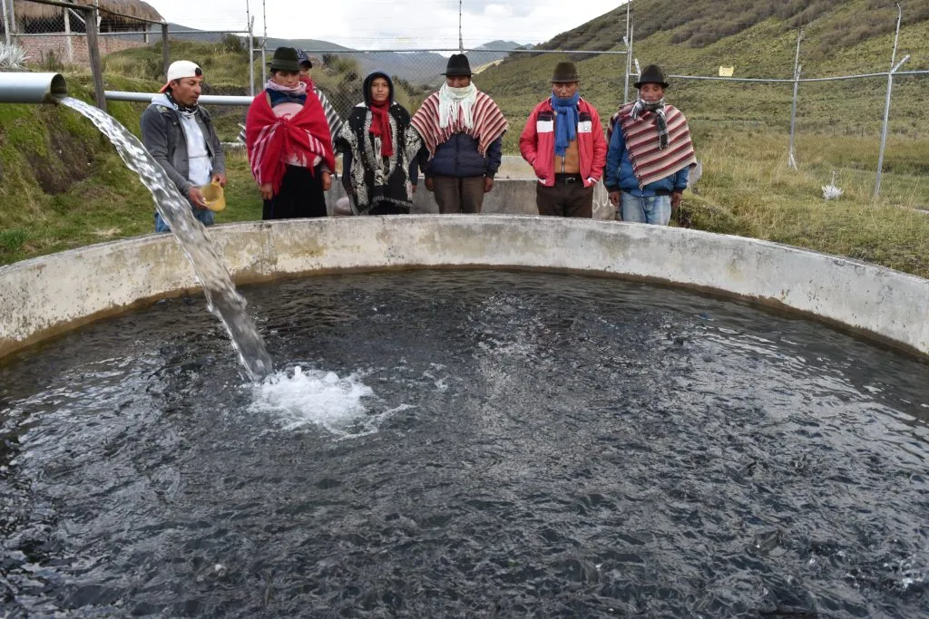 Activación de la producción de truchas
