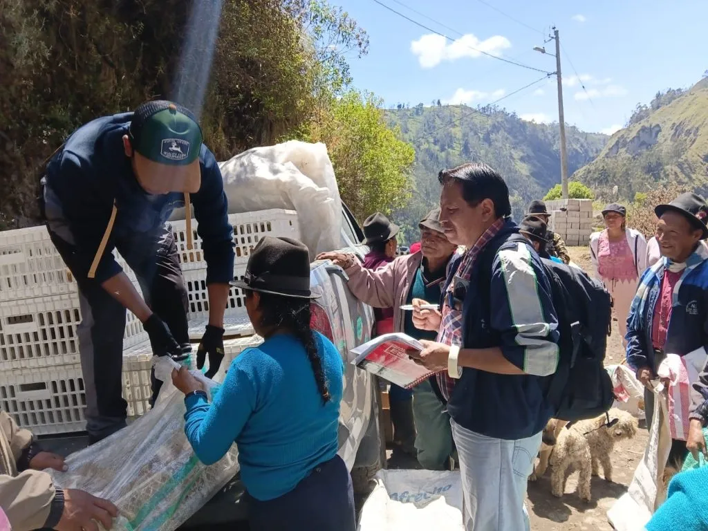 Refresca de pie de cuyes para su producción