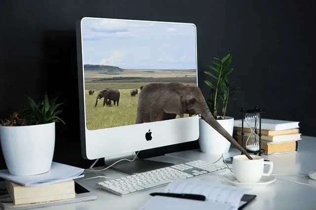 A computer help specialist providing IT services manages an iMac computer adorned with an elephant. A computer help specialist providing IT services manages an iMac computer adorned with an elephant.