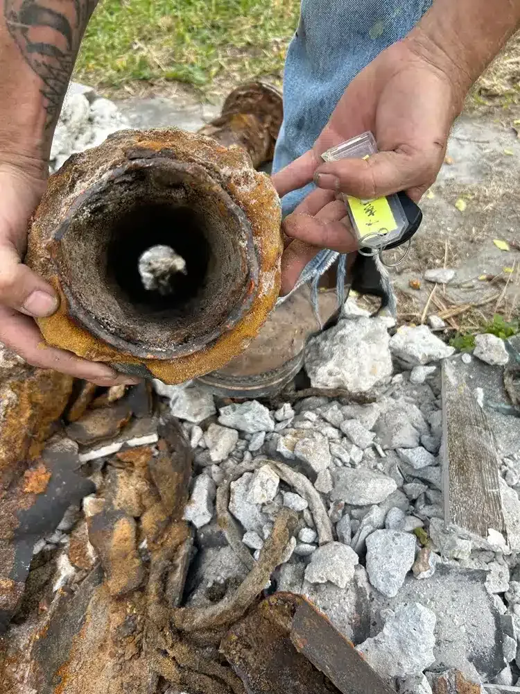 85A9C1CF-322D-4902-BB6E-6898B1716CDB