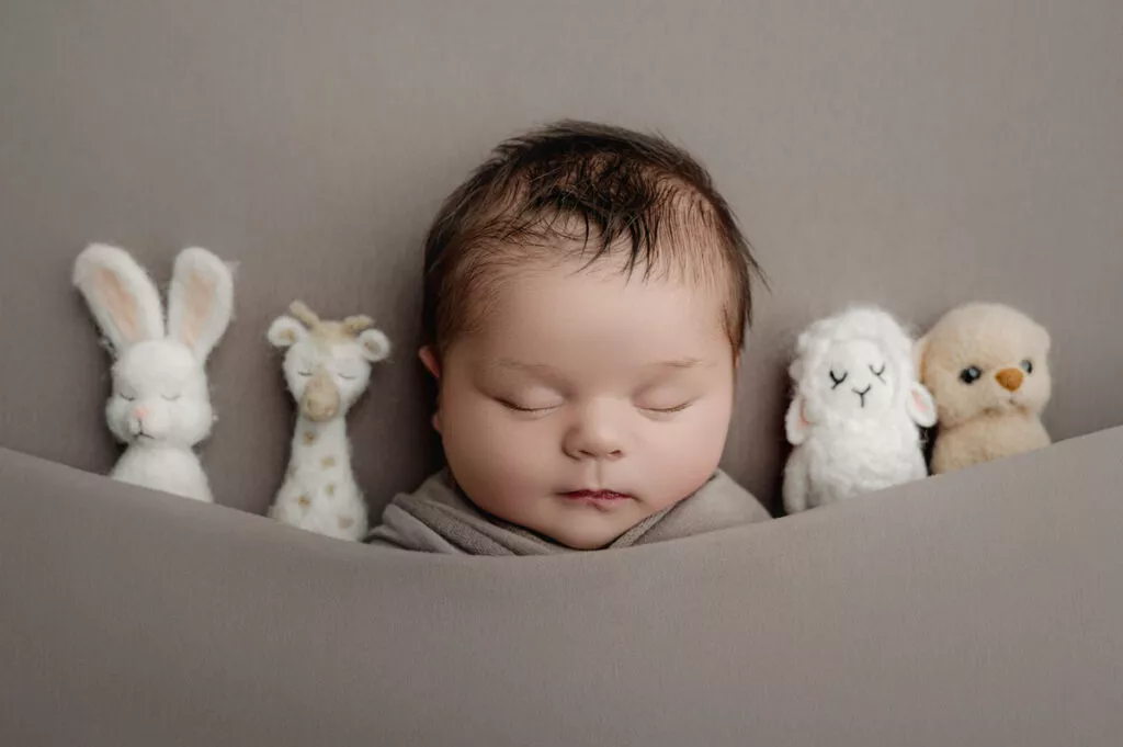 A baby is sleeping on a gray surface, wrapped in a blanket, with four plush toys—a rabbit, giraffe, lamb, and bear—lined up beside them. Capture sweet moments like these with Newborn Photography Vancouver.