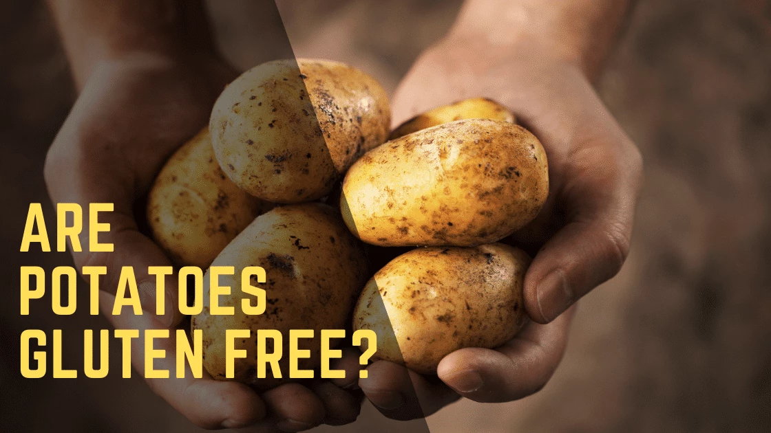 GlutenFree or Bust Do Potatoes Have Gluten?