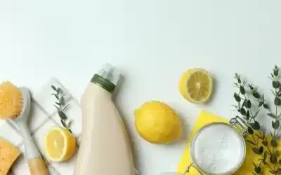 5 Cleaning Remedies and Life Hacks Using Natural Household Products