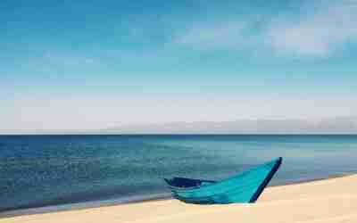 What are Some Surfer SEO Alternatives