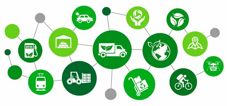 Environmental and Social Impact of Green Transport Policies