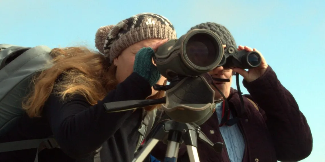 Longue-vue oiseaux installรฉe sur trรฉpied pour observer les oiseaux ร distance