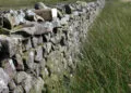 Boรฎte ร grit en bois posรฉe dans une lande, destinรฉe ร fournir de petits graviers aux oiseaux.