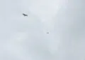 Deux rapaces sombres planent haut dans le ciel en dรฉcrivant de larges cercles.
