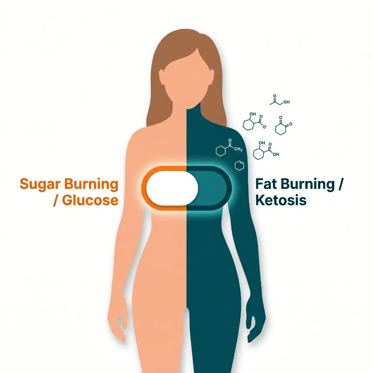 the ketogenic diet for women a science backed guide to fat burning 02 The Ketogenic Diet For Women