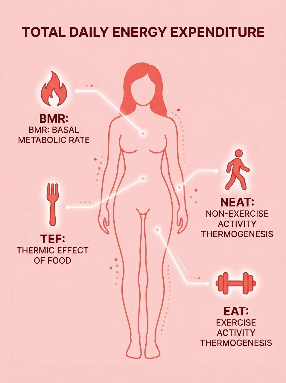 how many calories should you be eating — and why your number is probably wrong 04 How Many Calories Should You Be Eating
