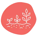 Illustration of three white plant sprouts of increasing size on a pink abstract background. The plants are depicted in a simple line style, representing growth and progression.