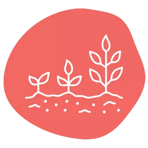 Illustration of three white plant sprouts of increasing size on a pink abstract background. The plants are depicted in a simple line style, representing growth and progression.