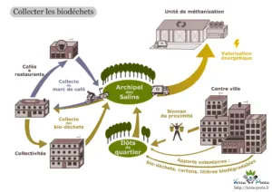 La chaine de traitement des biodéchets, Illustration Terra Petra