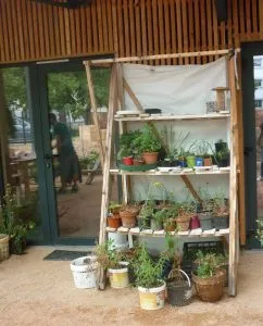 Archipel des Salins / étagère à plantes/ E. D'Aversa