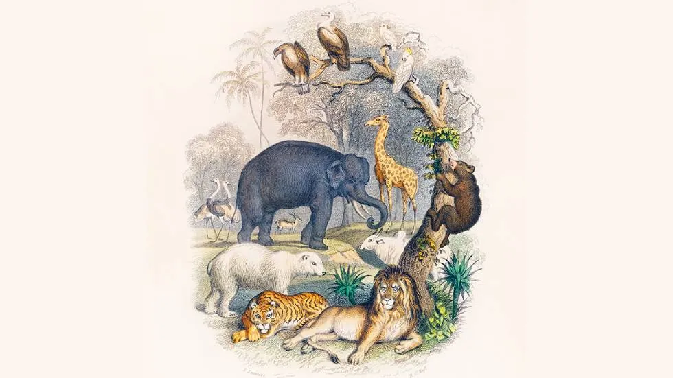 Carnaval des animaux