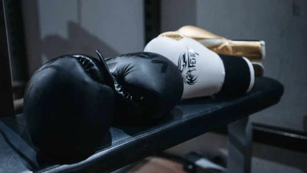 Gants de boxe / Photo P. Danilyuk -Pexels
