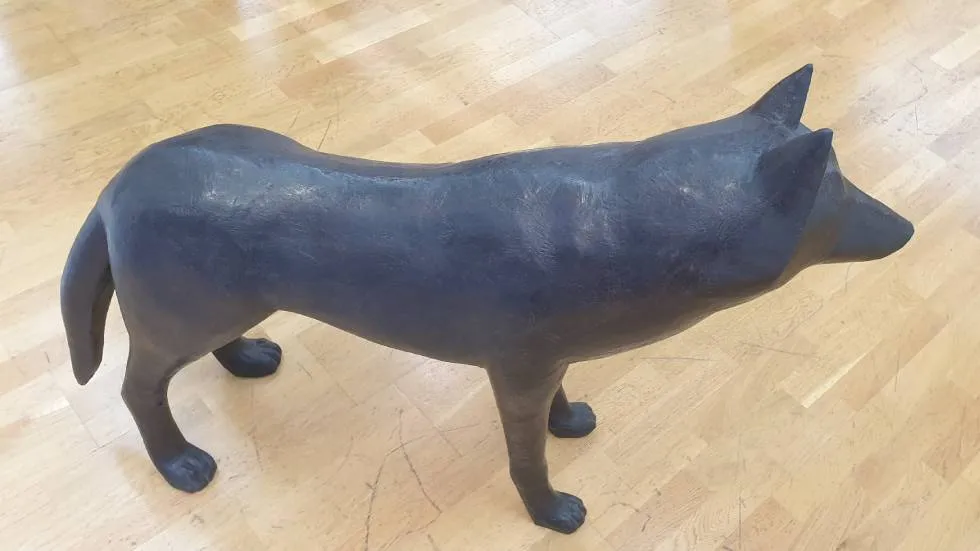 Loup par Roland Cognet / photo 7 jours à Clermont