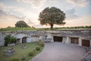 Le chêne et les caves / Photo Franc Mayne