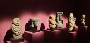 Barbus Müller