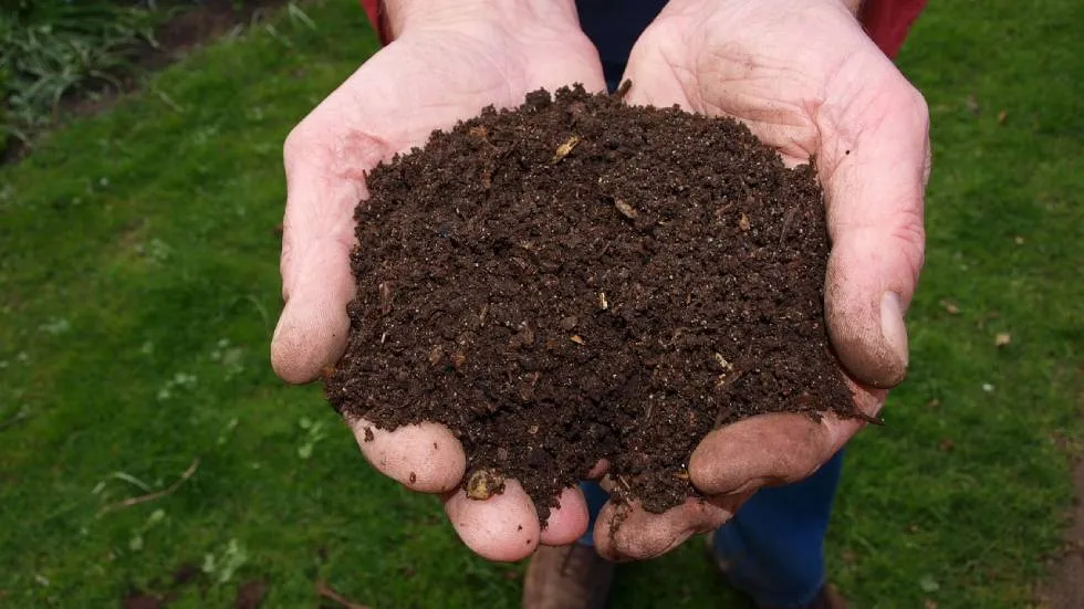 Compost / Photo Pixabay