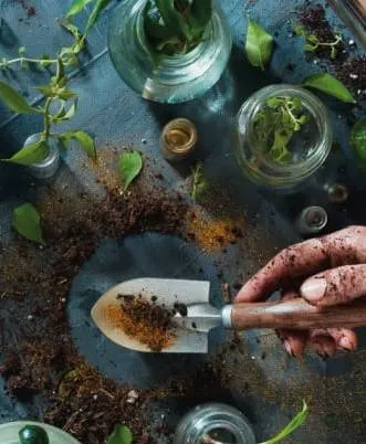 Nature & jardin 2023
