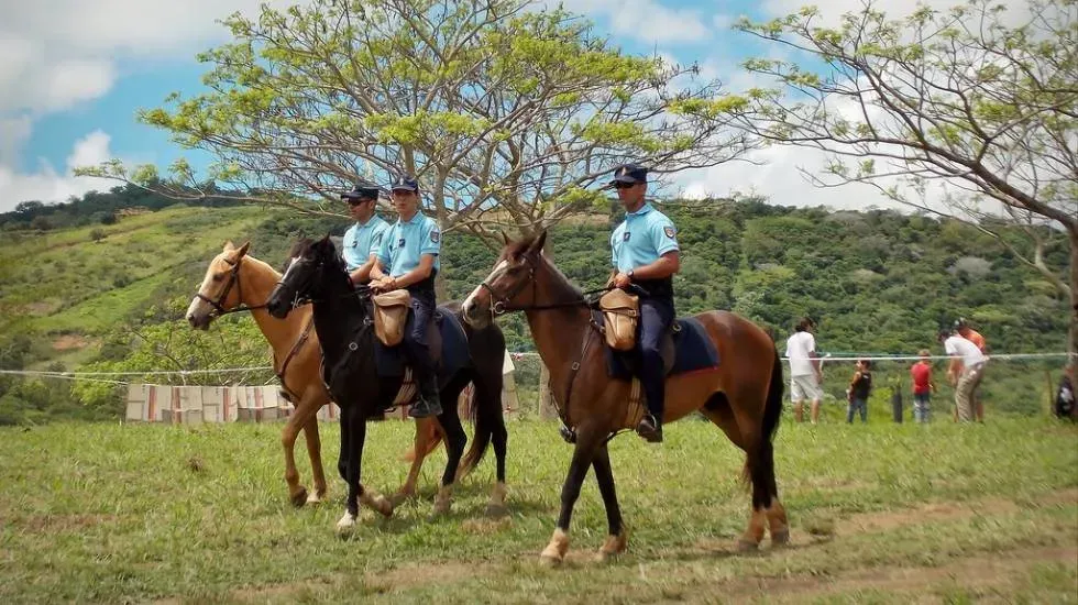 Gendarmes et chevaux / Photo DR