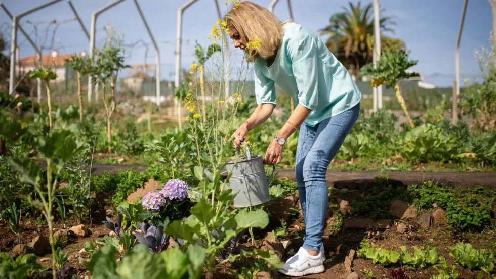 Jardin / Photo Kampus-production-Pexels