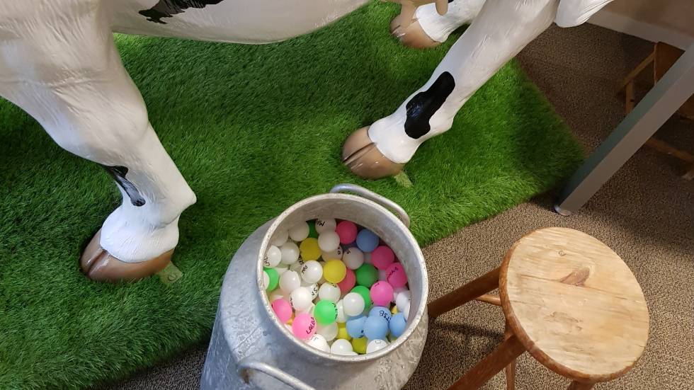 Vache INRAE / Photo INRAE