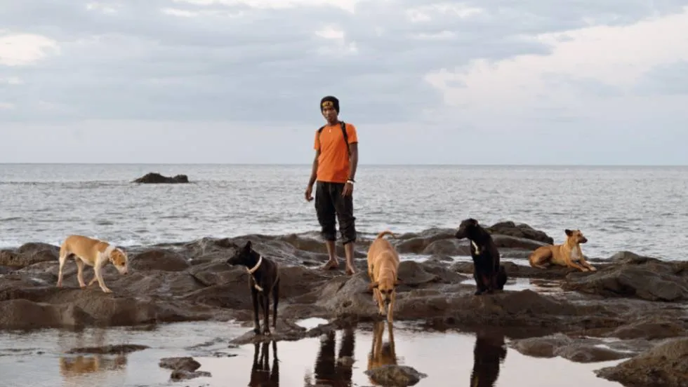 Comores / Photo Laura Henno