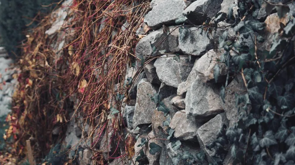 Mur de pierres sèches / Photo Sergey Okhrymenko - Pexels
