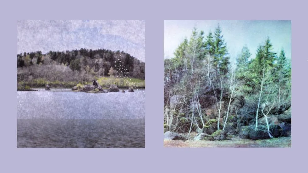 Marielsa Niels, paysages imaginaires, photographies