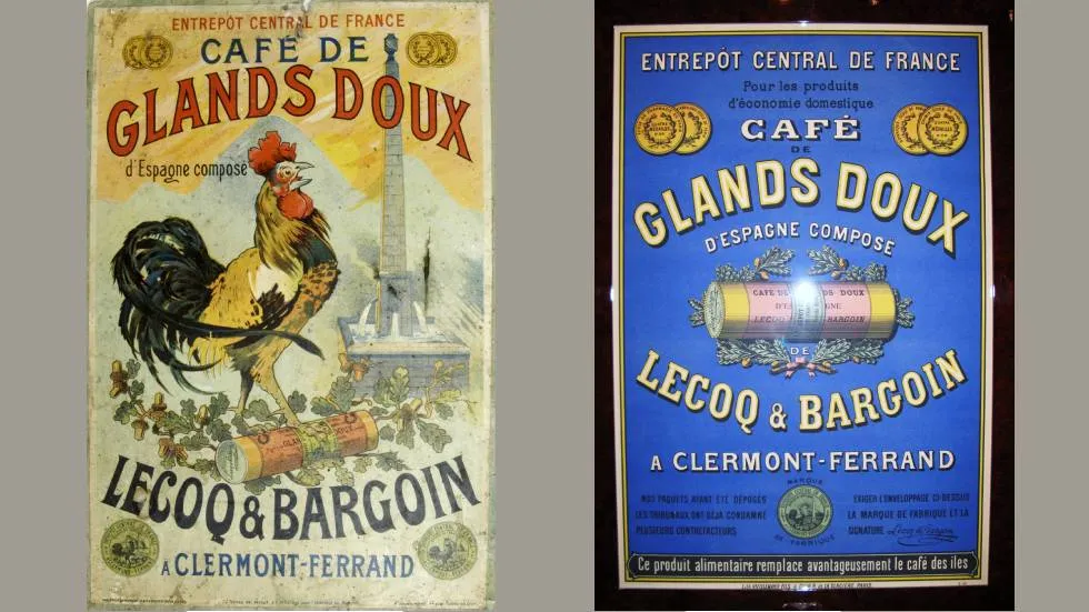 Un ersatz de café pas cher et une affaire juteuse. © Muséum d’histoire naturelle Henri Lecoq