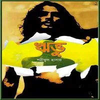 ঋভু PDF – শরীফুল হাসান | Ribhu PDF- Shariful Hasan