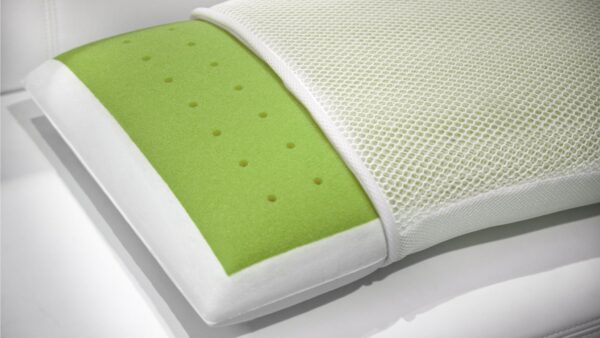 Cuscino Melody Aloe Vera