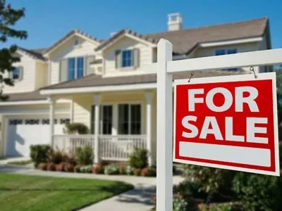 real estate pest inspections real estate pest inspections