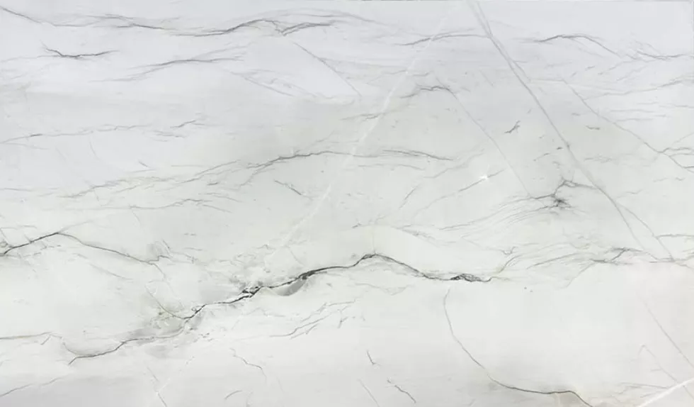 Alice White Exotic Quartzite Color absolute black