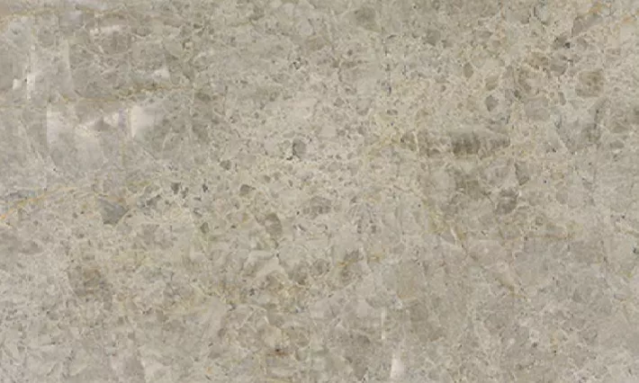 Savoie Quartzite Color angola black