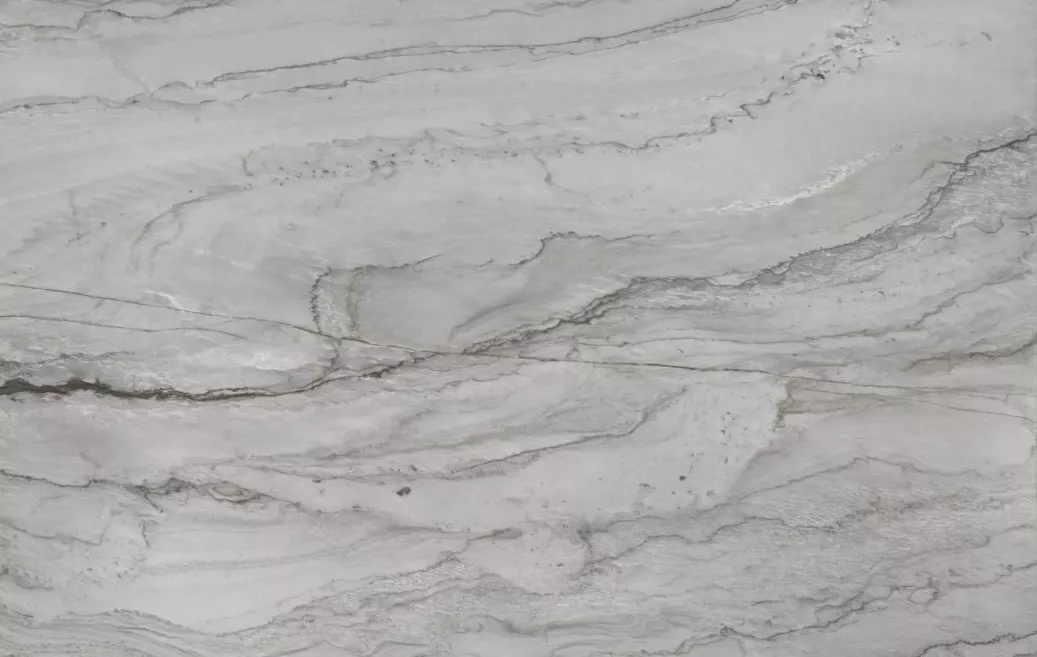 Sea Pearl Quartzite Color absolute black