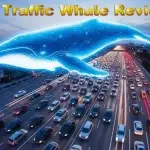 ai traffic whale review